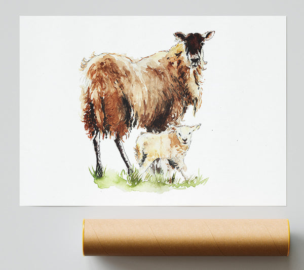 Mother And Baby Lambs Poster