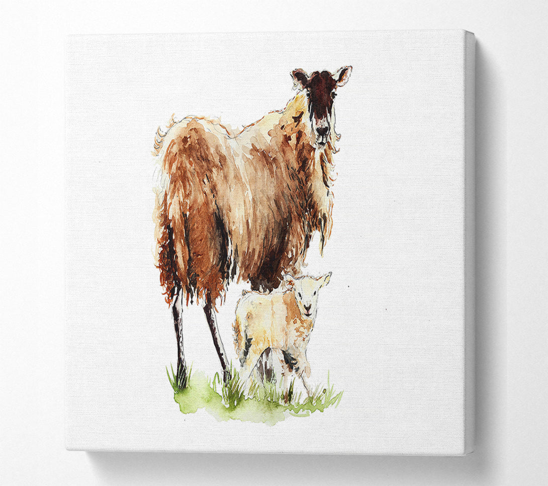 A Canvas Print of Mother and Baby Lambs Canvas Print