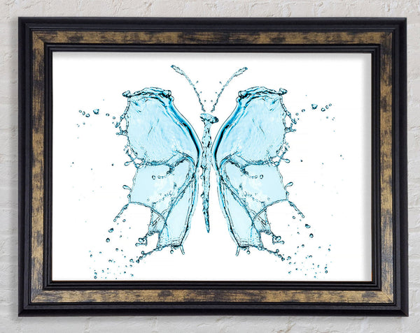 Water Butterfly Framed Print