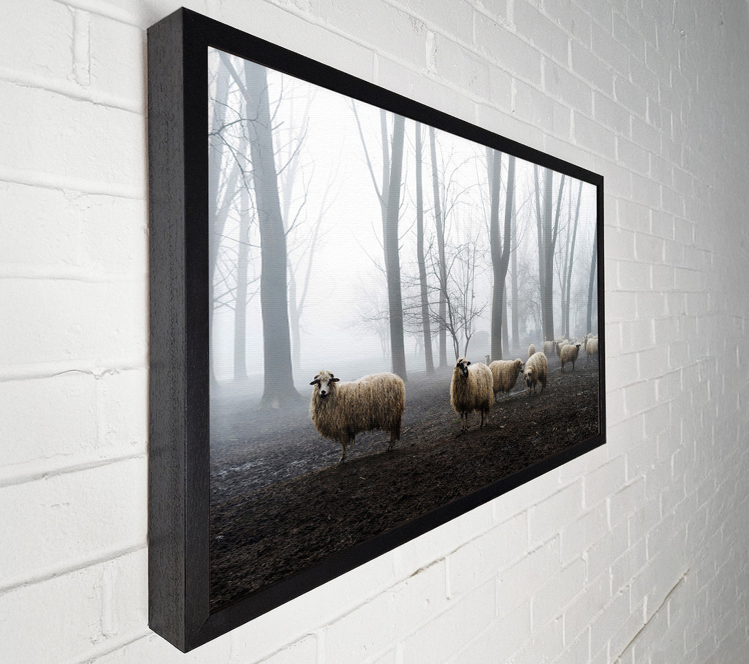  A Canvas Print of Sheep Forest Canvas Art