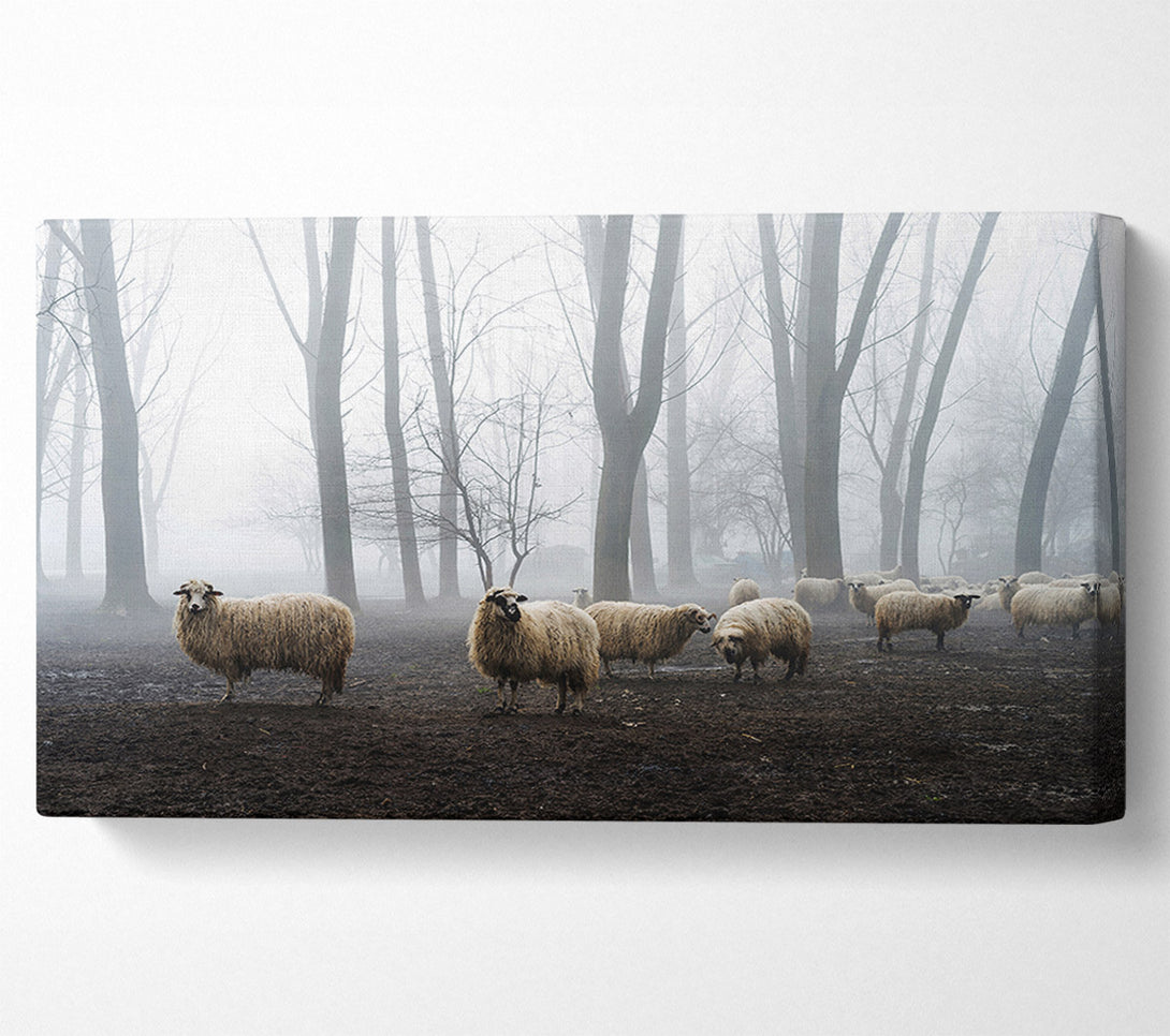  A Canvas Print of Sheep Forest Canvas Art