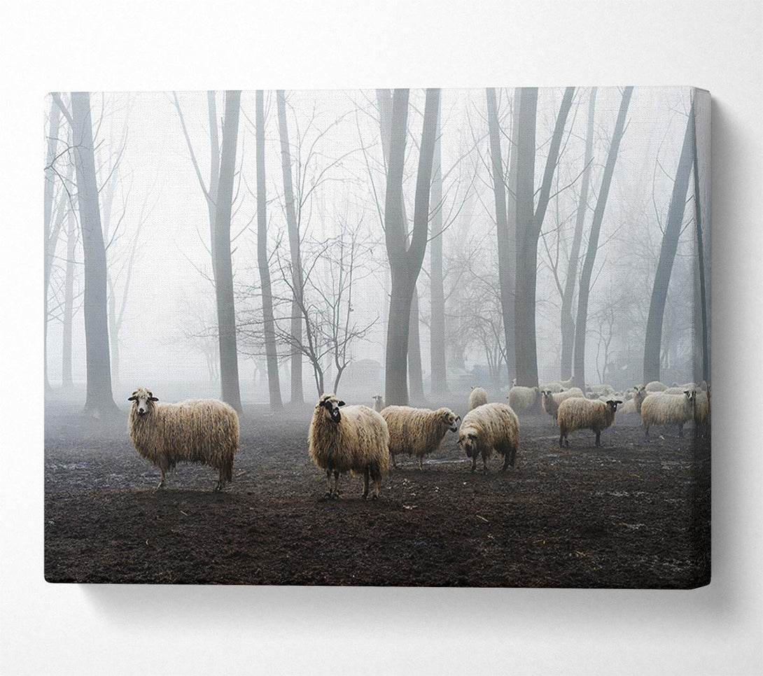  A Canvas Print of Sheep Forest Canvas Art