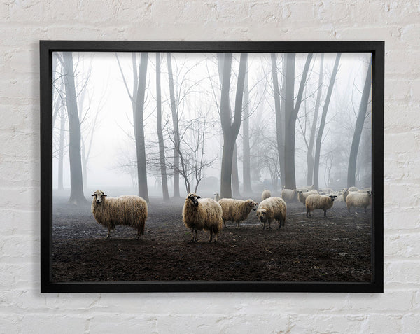 Sheep Forest Framed Print