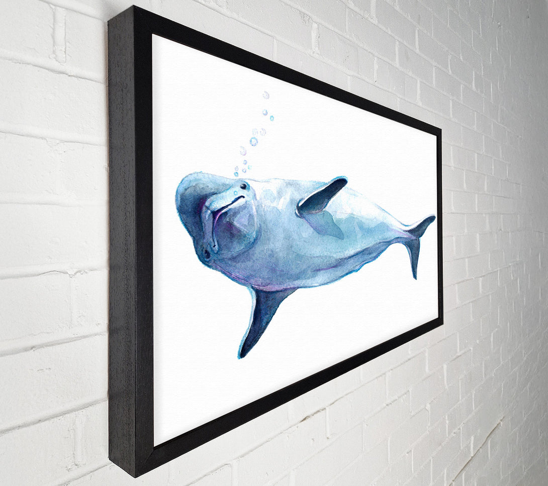  A Canvas Print of Dolphin Bubbles Canvas Art