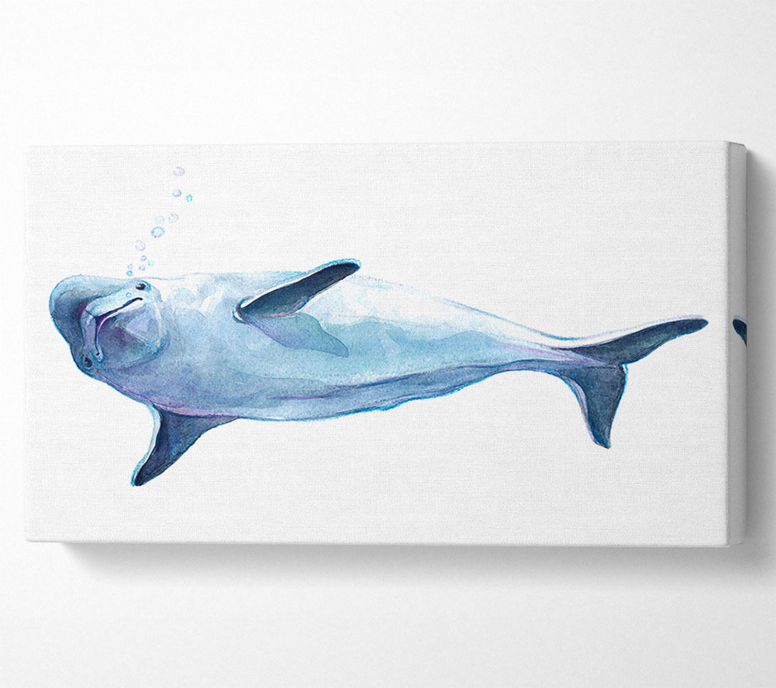  A Canvas Print of Dolphin Bubbles Canvas Art