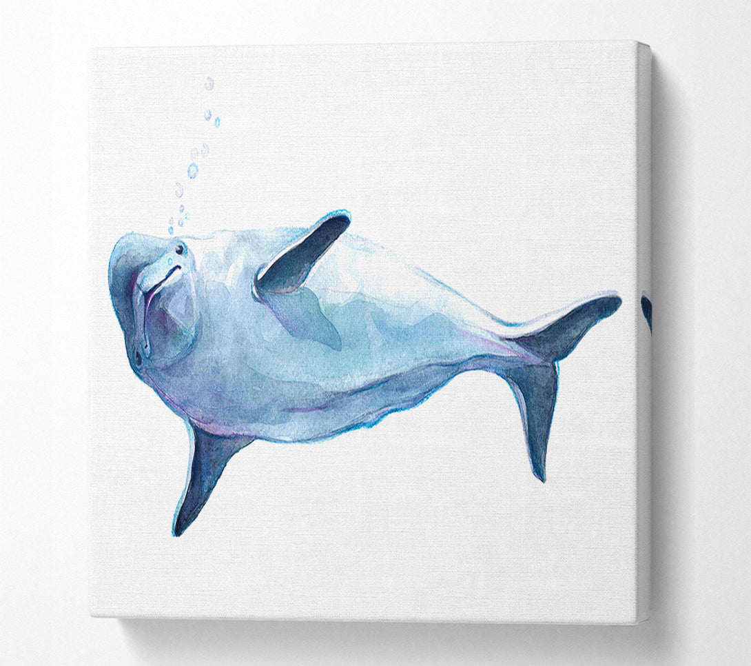  A Canvas Print of Dolphin Bubbles Canvas Art
