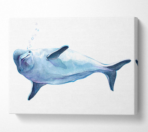  A Canvas Print of Dolphin Bubbles Canvas Art