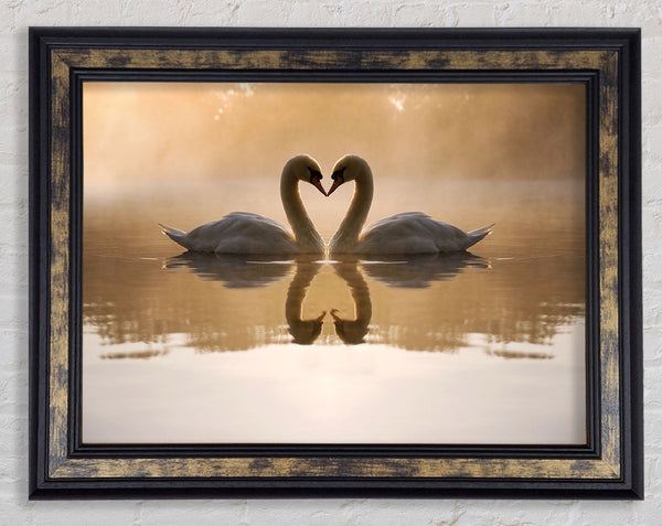 Swan Lake Love Framed Print