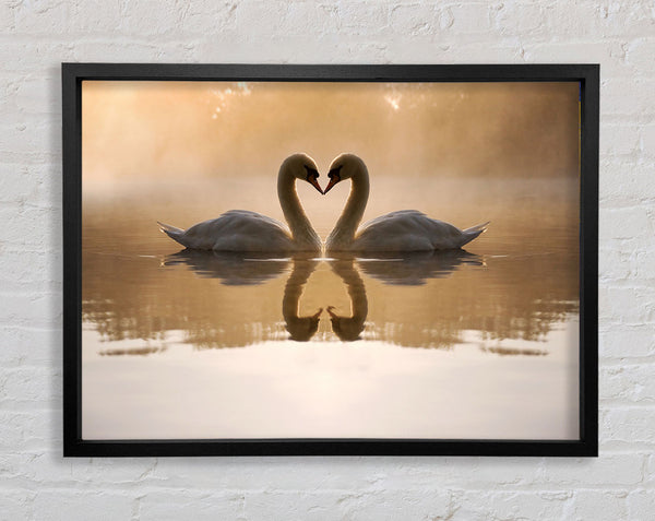 Swan Lake Love Framed Print