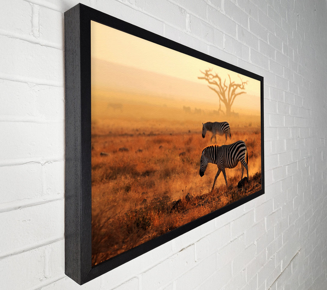  A Canvas Print of Sunset Zebra Canvas Wall Art