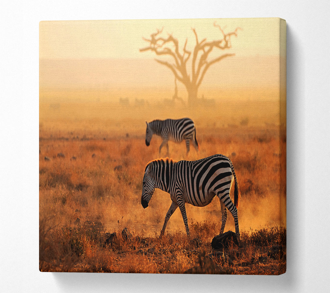  A Canvas Print of Sunset Zebra Canvas Wall Art