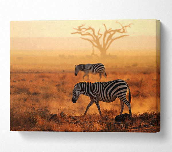 A Canvas Print of Sunset Zebra Canvas Wall Art