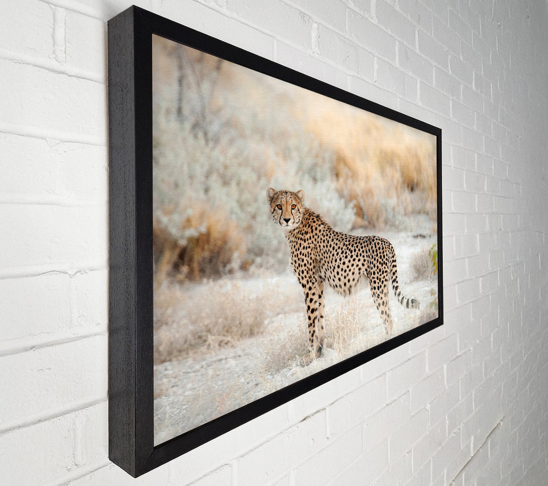  A Canvas Print of Wild Cheetah Canvas Wall Art