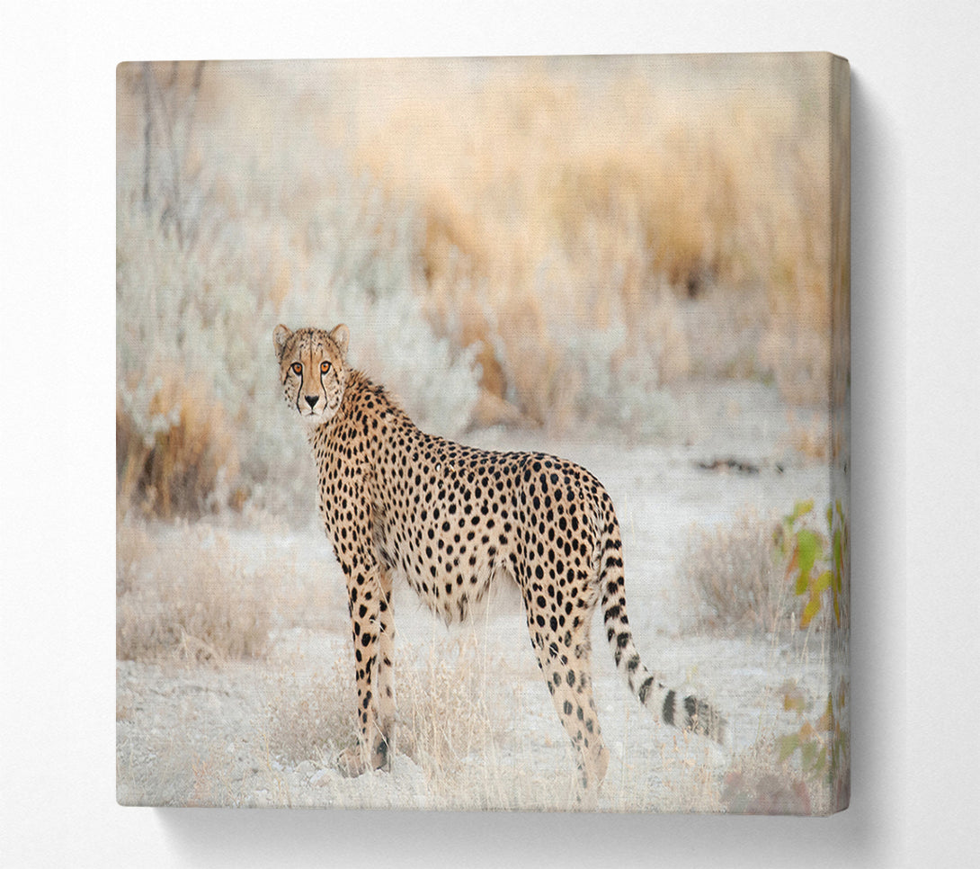  A Canvas Print of Wild Cheetah Canvas Wall Art