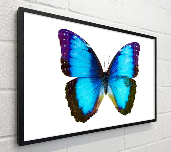 Electric Butterfly