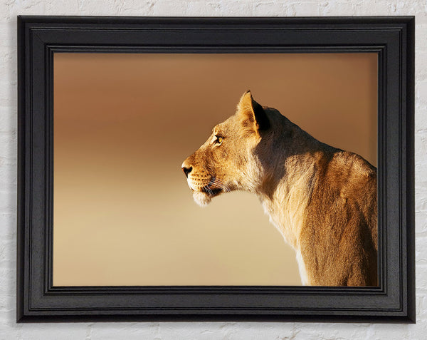 Lioness Wonder Framed Print