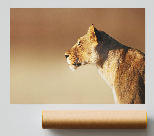 Lioness Wonder Poster