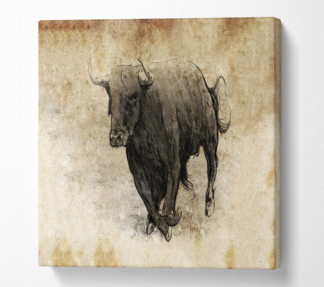  A Canvas Print of Bull Charging Canvas Art