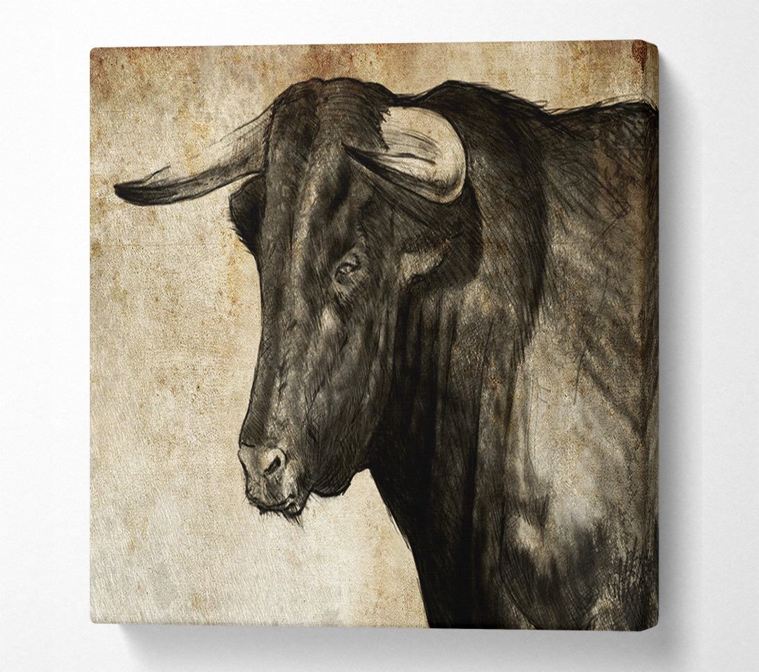  A Canvas Print of Bull Horns Canvas Wall Art