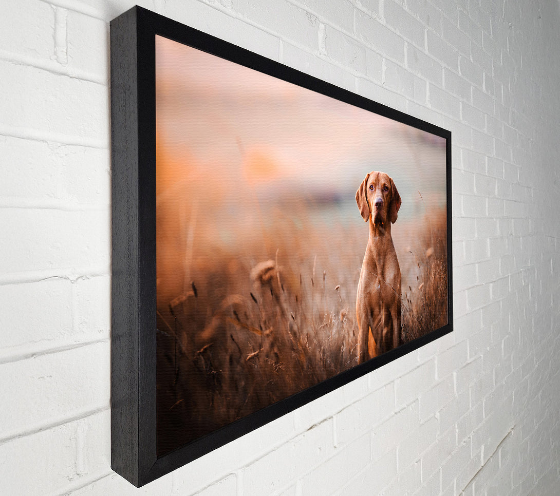  A Canvas Print of Dog Obedience Canvas Wall Art