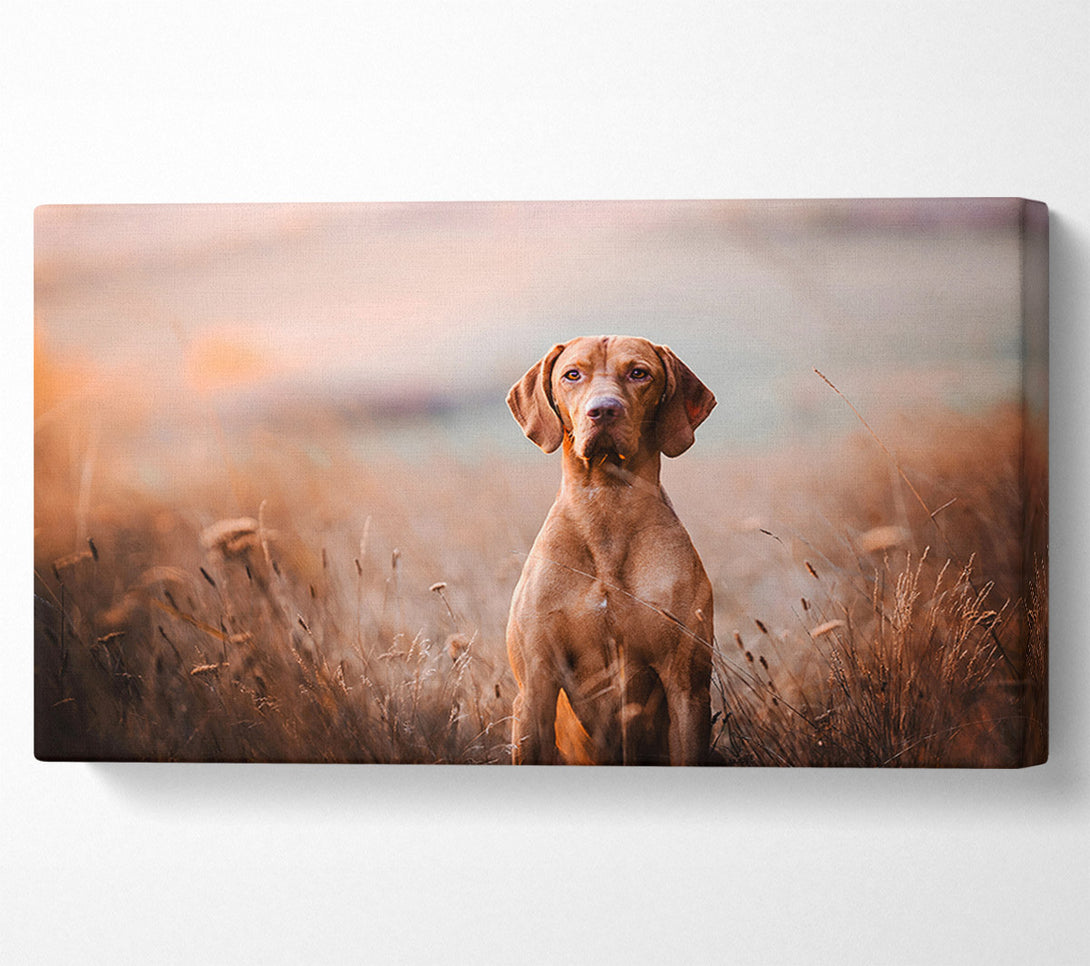  A Canvas Print of Dog Obedience Canvas Wall Art