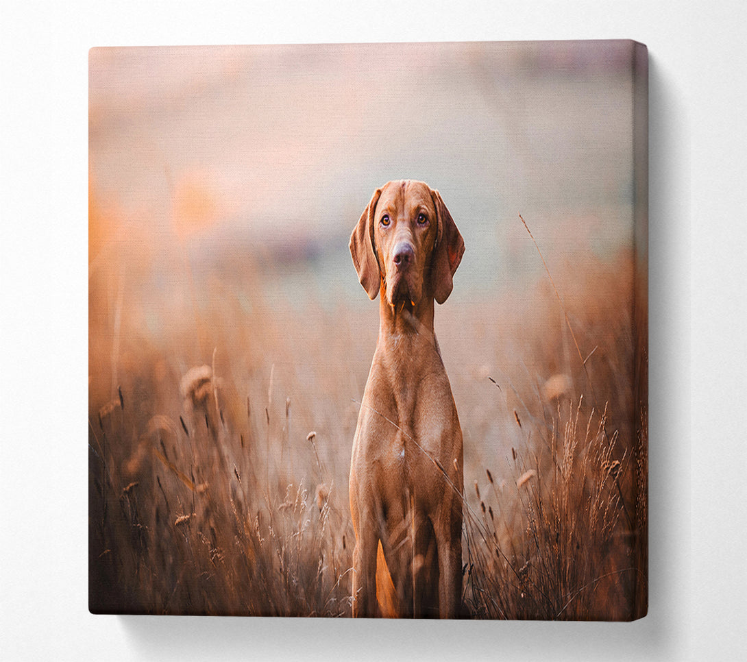  A Canvas Print of Dog Obedience Canvas Wall Art