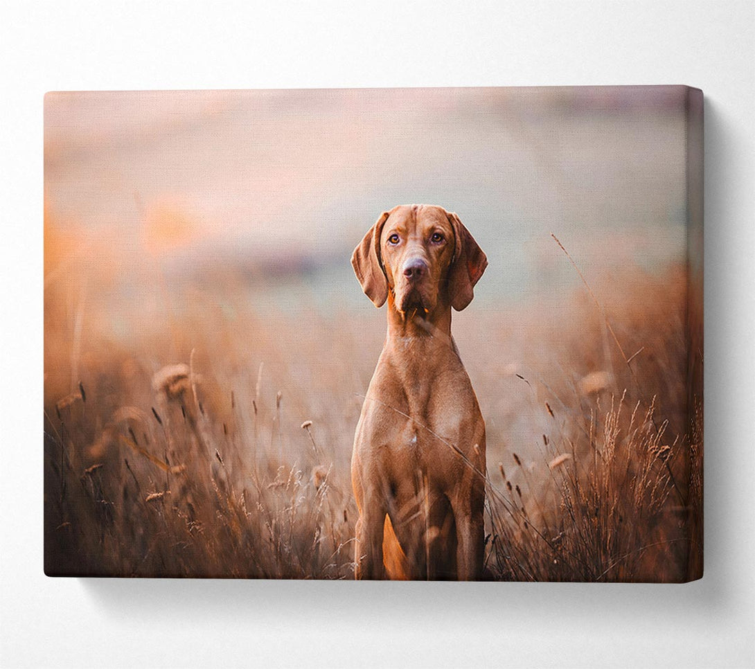  A Canvas Print of Dog Obedience Canvas Wall Art