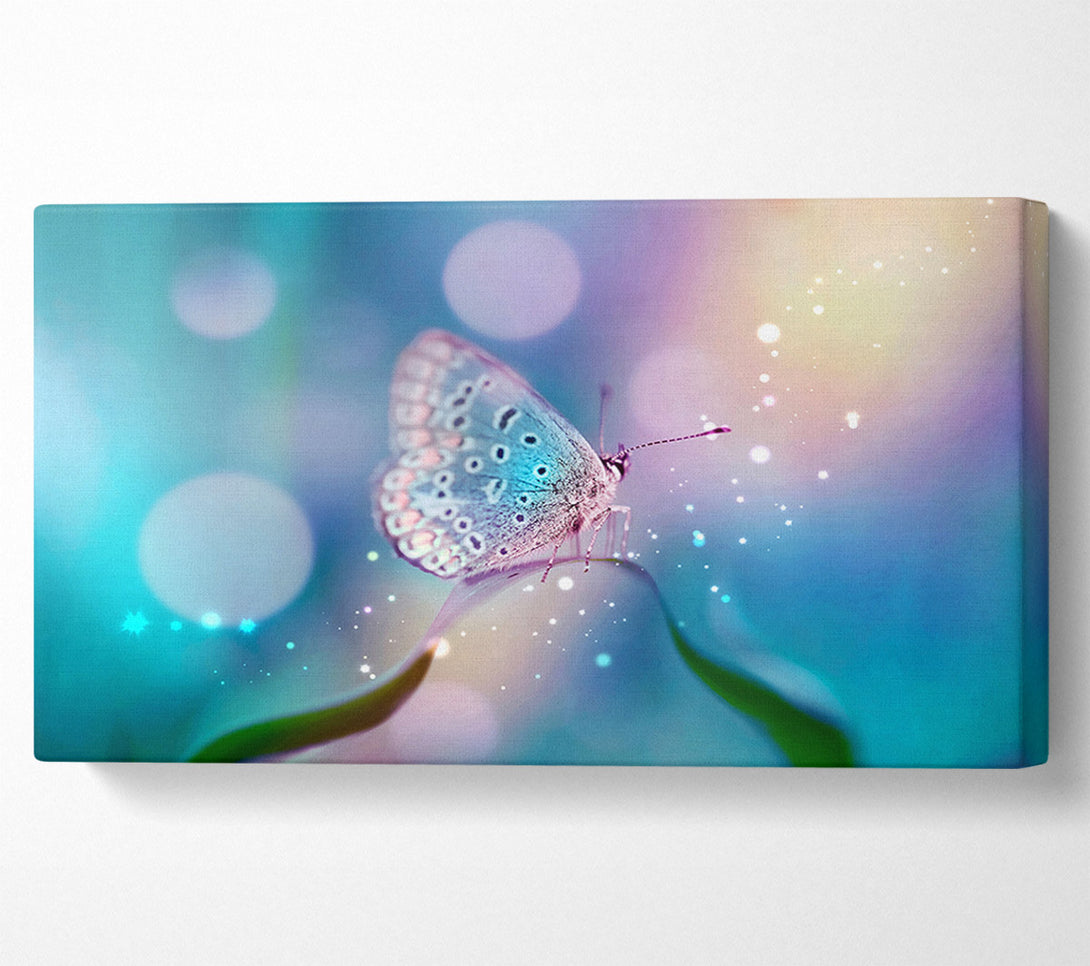  A Canvas Print of Butterfly Sparkle Canvas Print