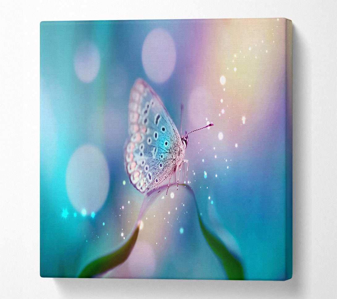  A Canvas Print of Butterfly Sparkle Canvas Print