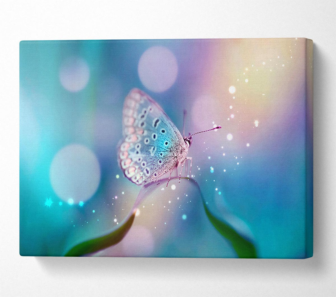  A Canvas Print of Butterfly Sparkle Canvas Print