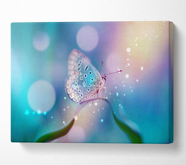  A Canvas Print of Butterfly Sparkle Canvas Print