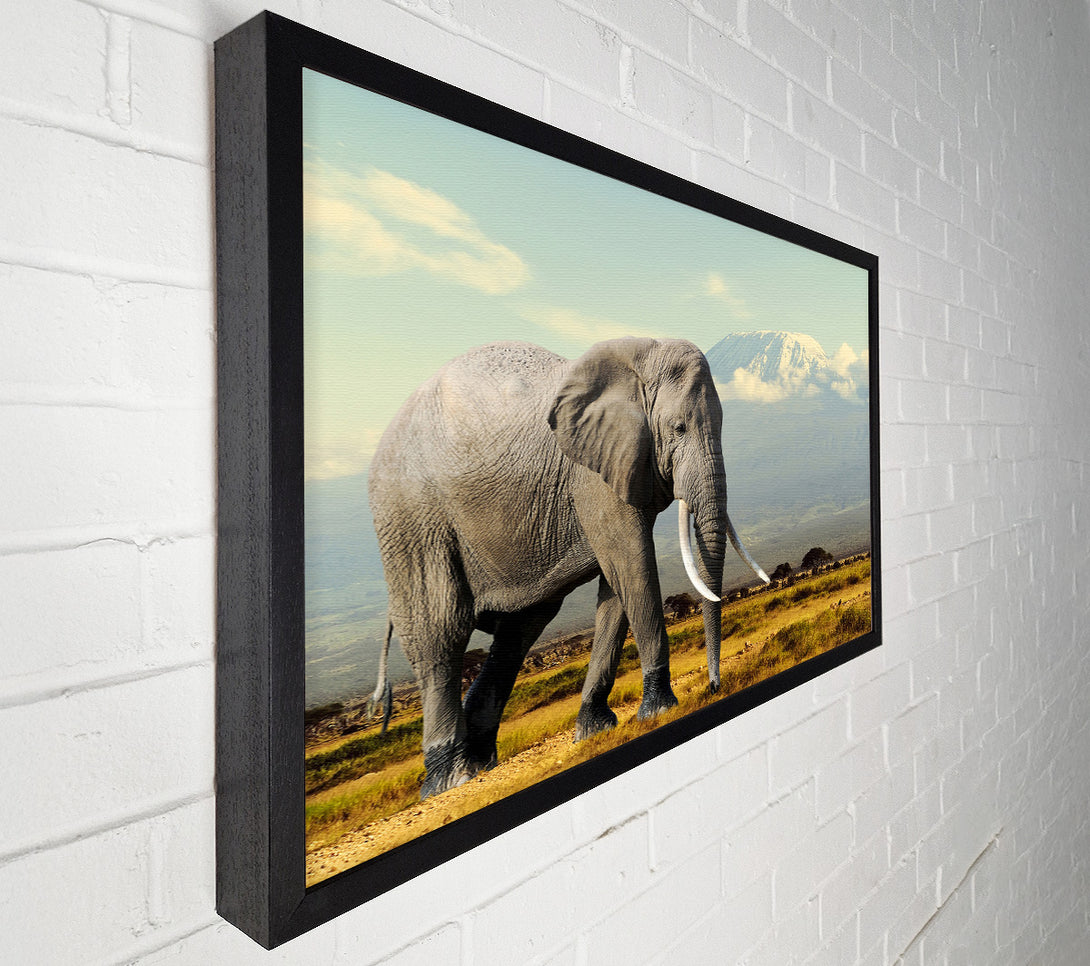  A Canvas Print of Elephant Roaming Canvas Wall Art