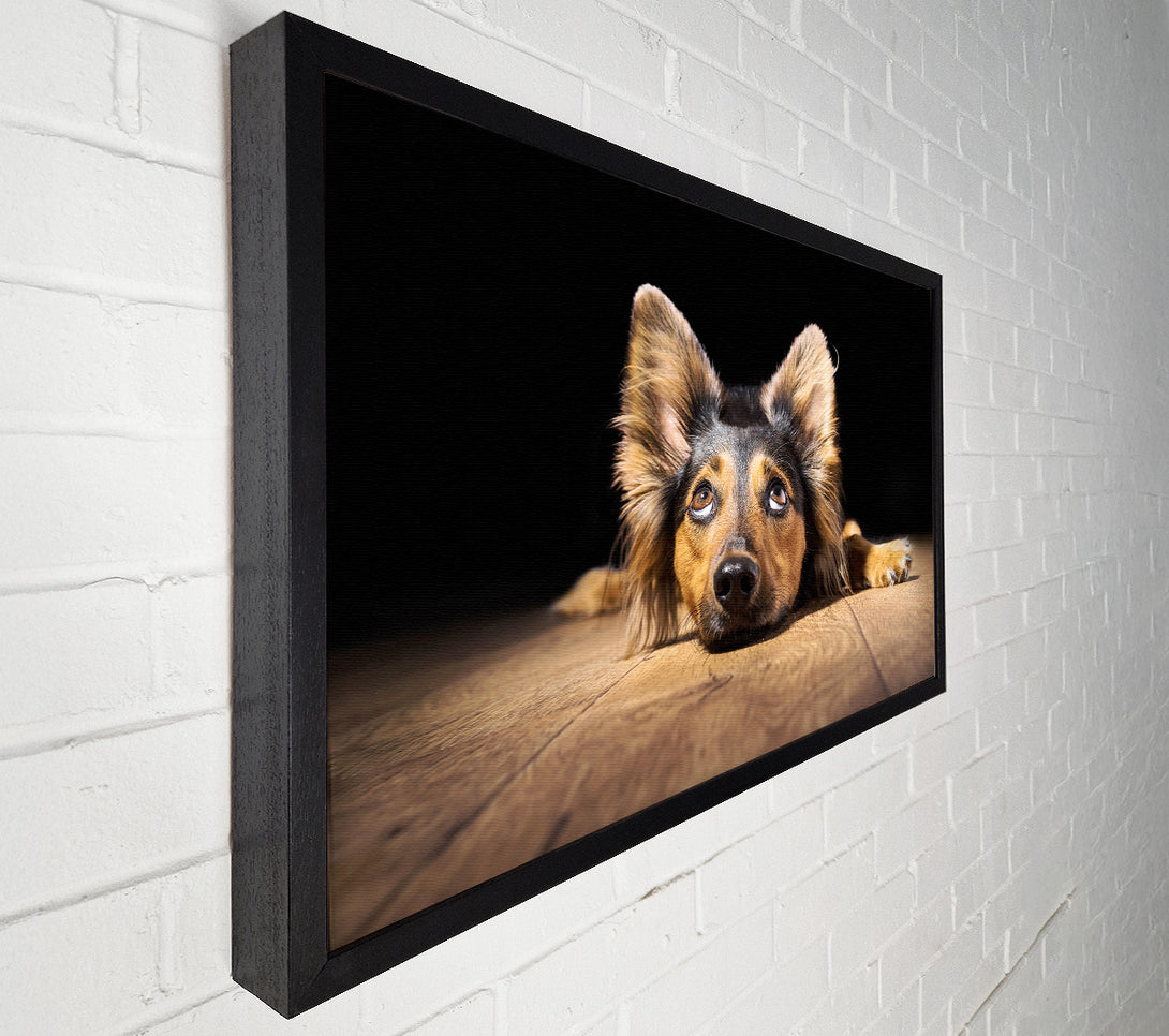  A Canvas Print of Dog Love Canvas Art