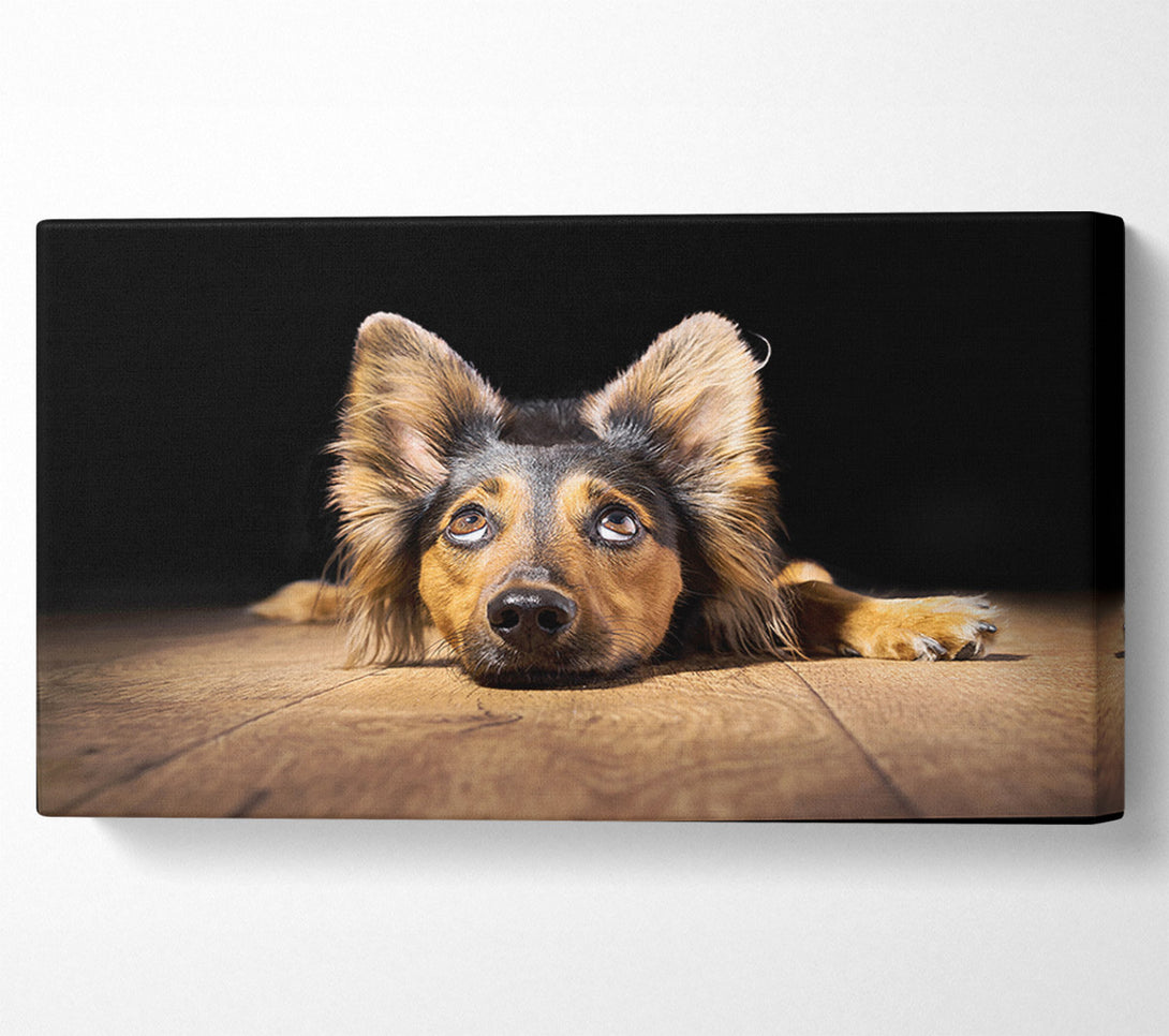  A Canvas Print of Dog Love Canvas Art