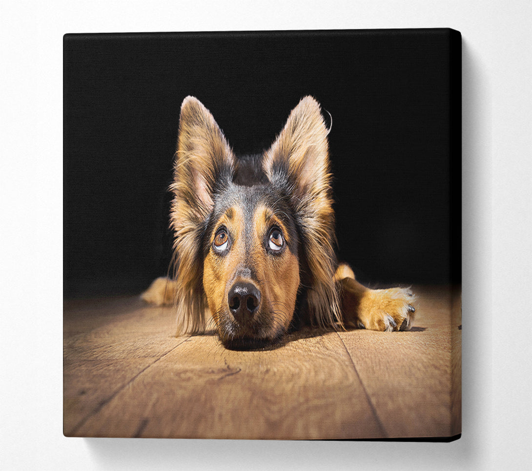  A Canvas Print of Dog Love Canvas Art