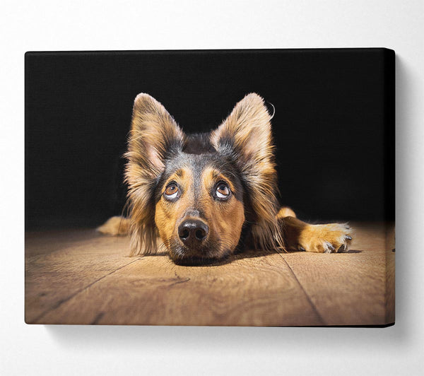  A Canvas Print of Dog Love Canvas Art