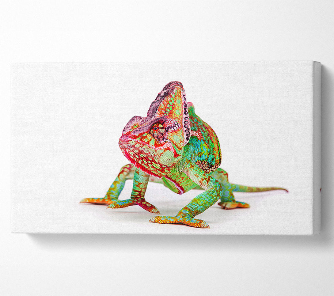  A Canvas Print of Chameleon Walk Canvas Wall Art