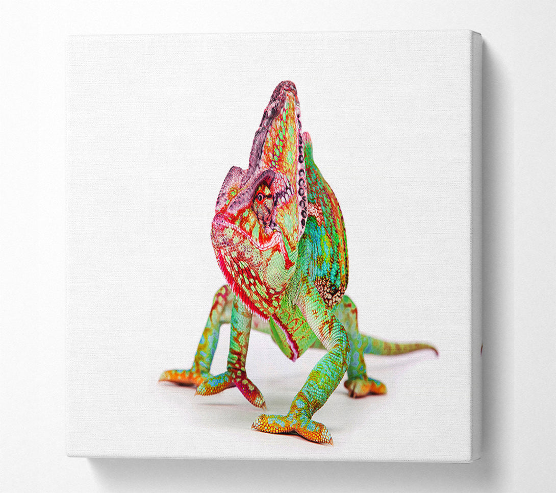  A Canvas Print of Chameleon Walk Canvas Wall Art