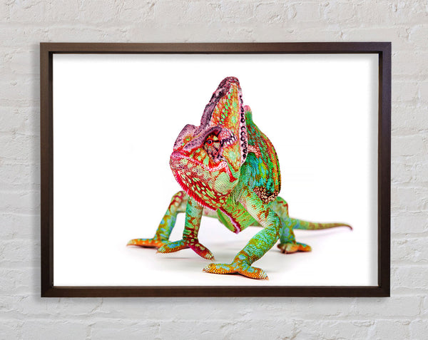 Chameleon Walk Framed Print