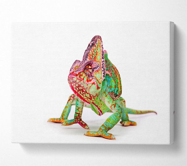  A Canvas Print of Chameleon Walk Canvas Wall Art