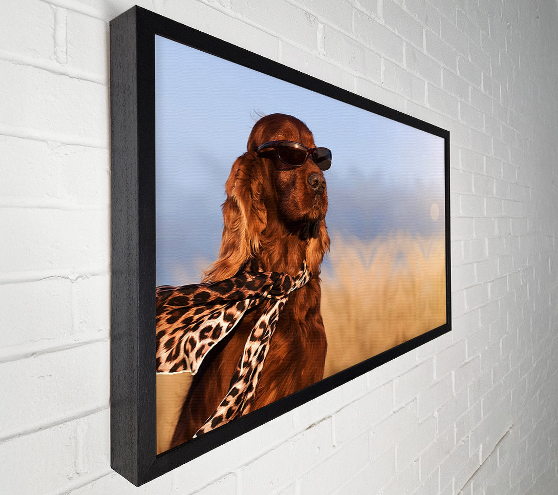  A Canvas Print of Glamorous Irish Setter Dog Canvas Wall Art