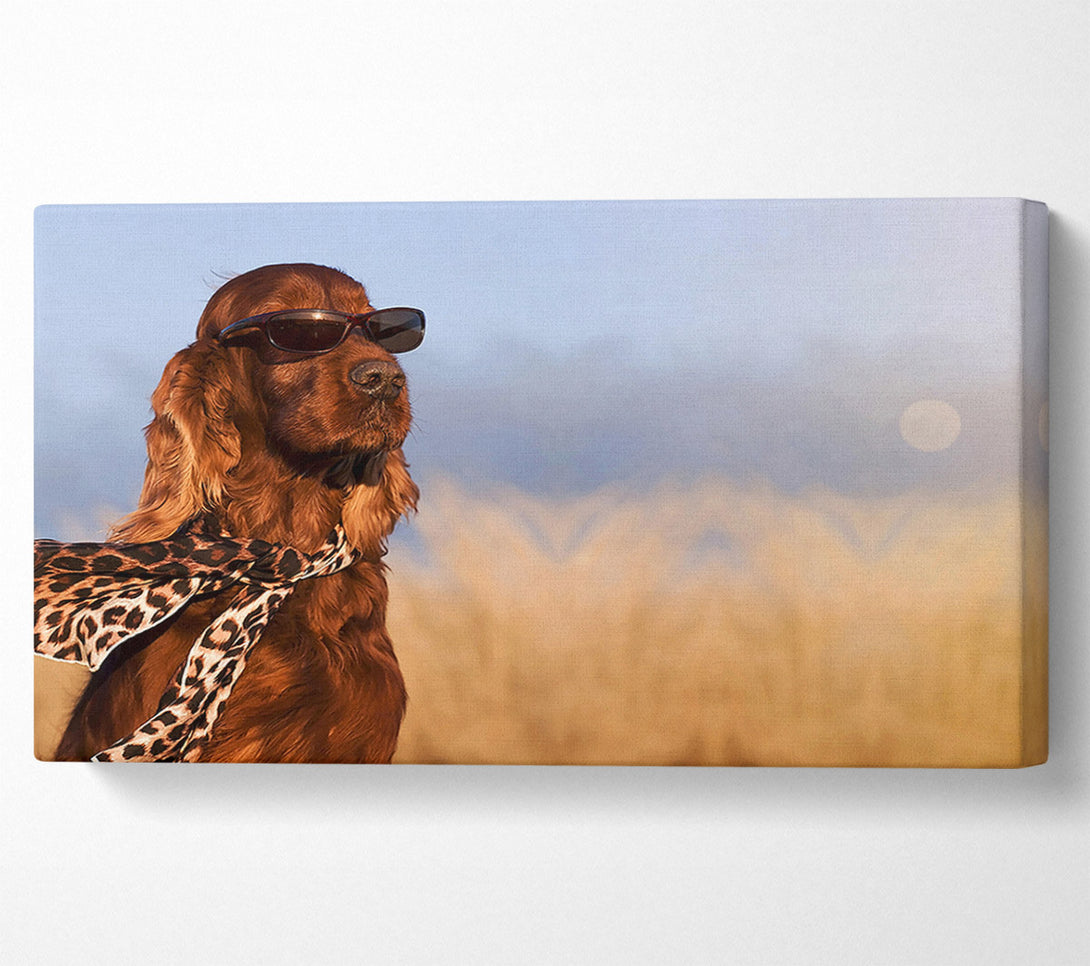  A Canvas Print of Glamorous Irish Setter Dog Canvas Wall Art