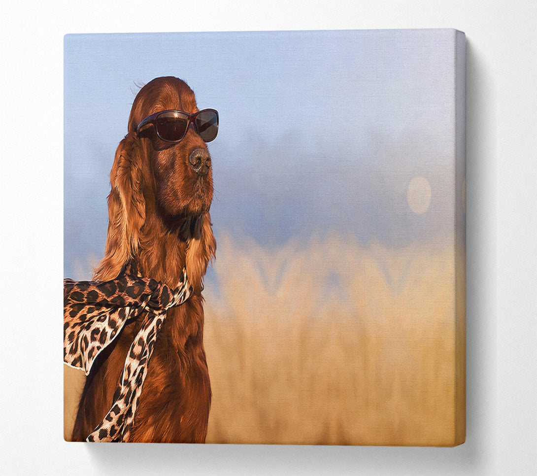  A Canvas Print of Glamorous Irish Setter Dog Canvas Wall Art