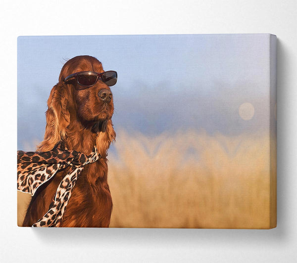  A Canvas Print of Glamorous Irish Setter Dog Canvas Wall Art