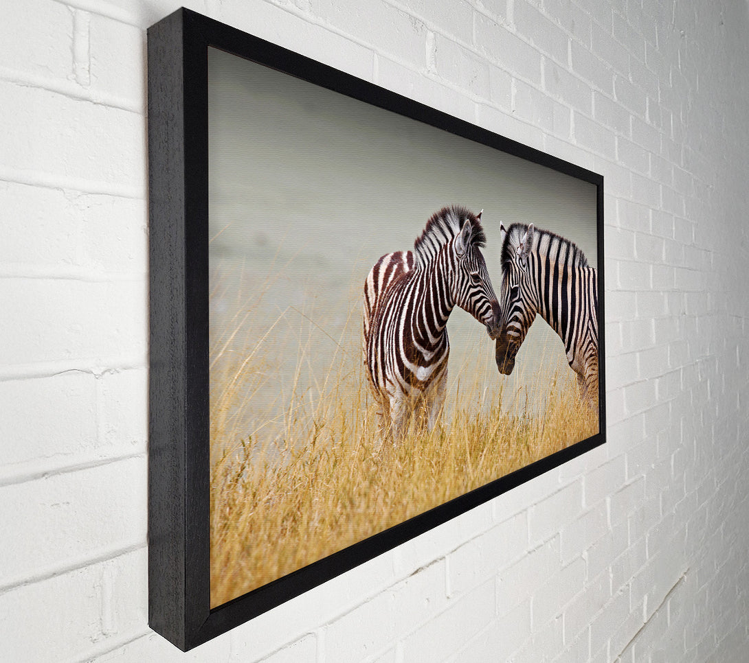  A Canvas Print of Mother and Baby Zebra Canvas Wall Art