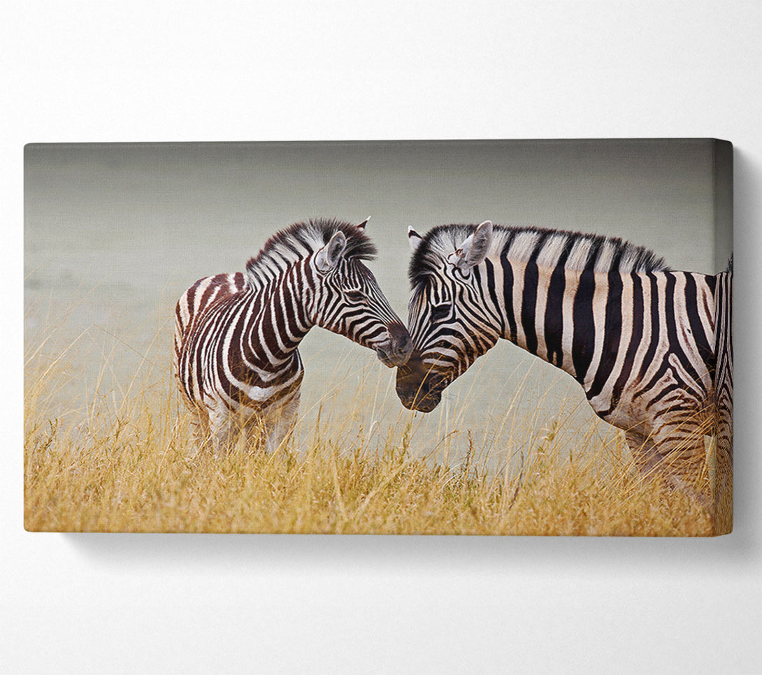  A Canvas Print of Mother and Baby Zebra Canvas Wall Art