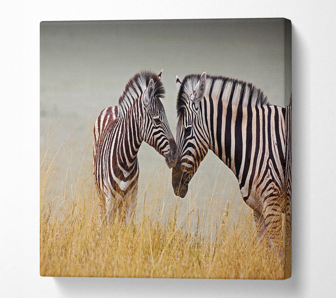  A Canvas Print of Mother and Baby Zebra Canvas Wall Art