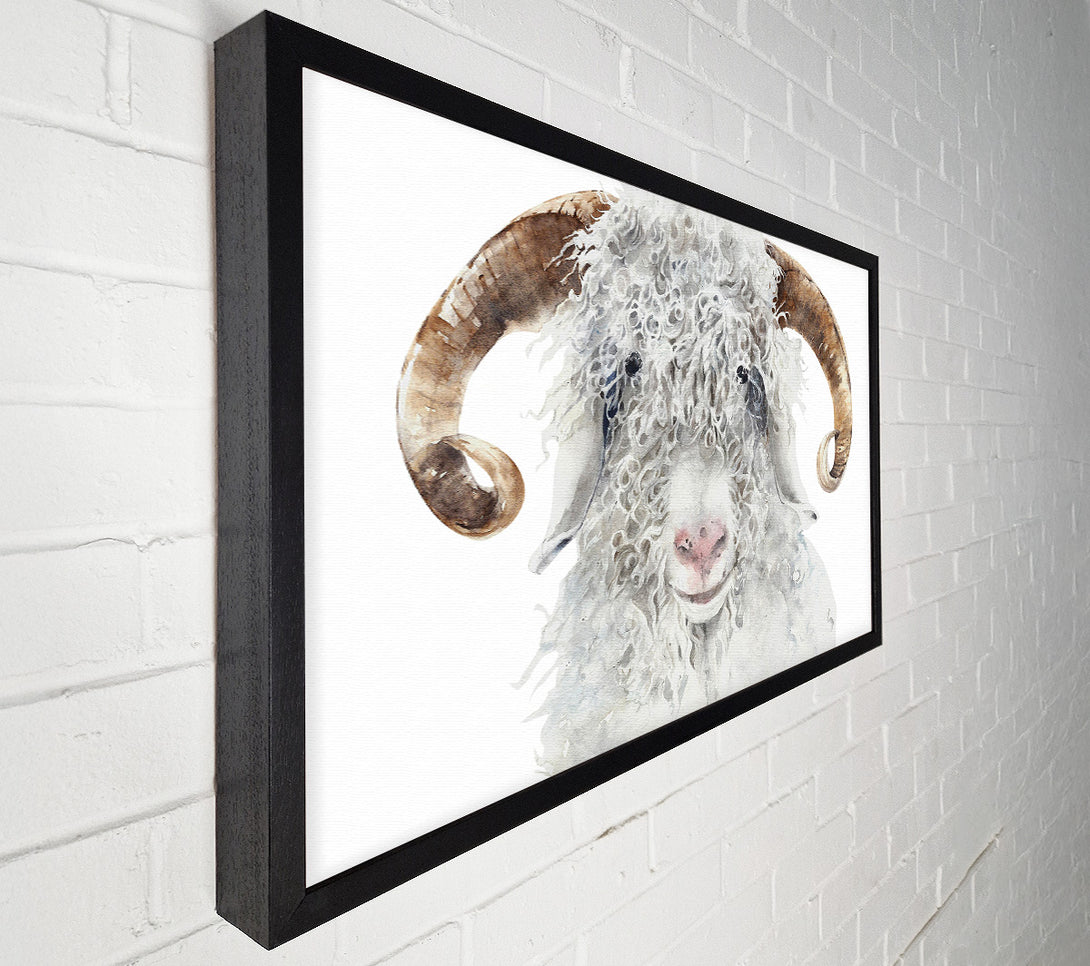 A Canvas Print of Sheep Beauty Canvas Wall Art