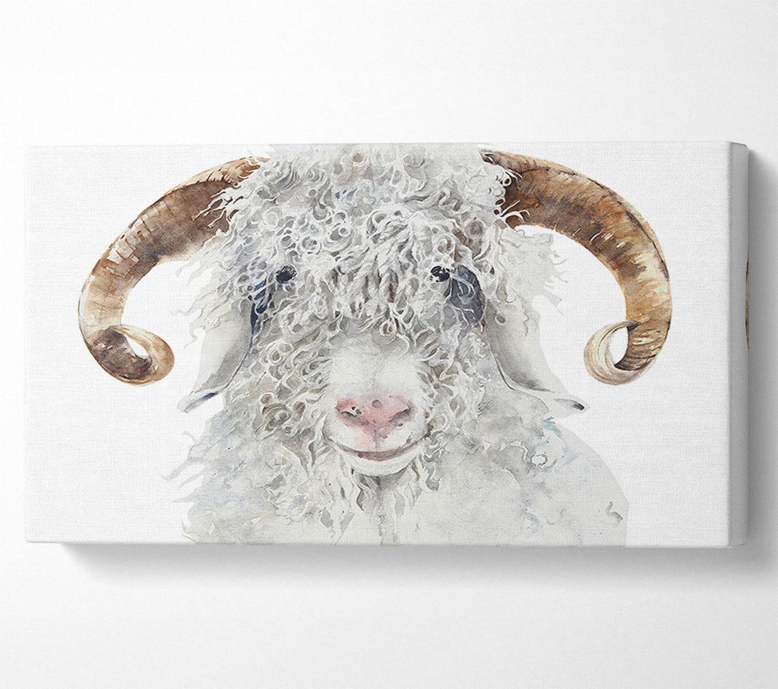  A Canvas Print of Sheep Beauty Canvas Wall Art