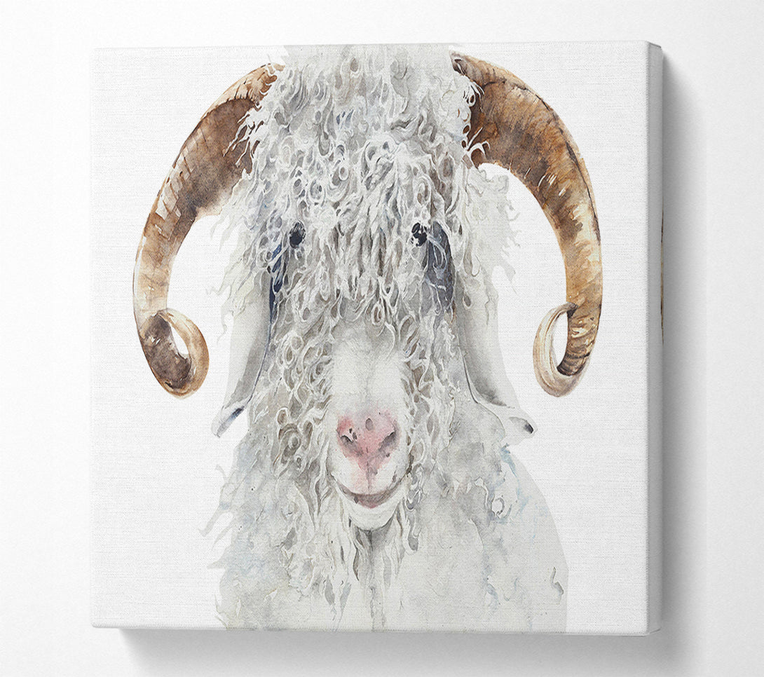  A Canvas Print of Sheep Beauty Canvas Wall Art